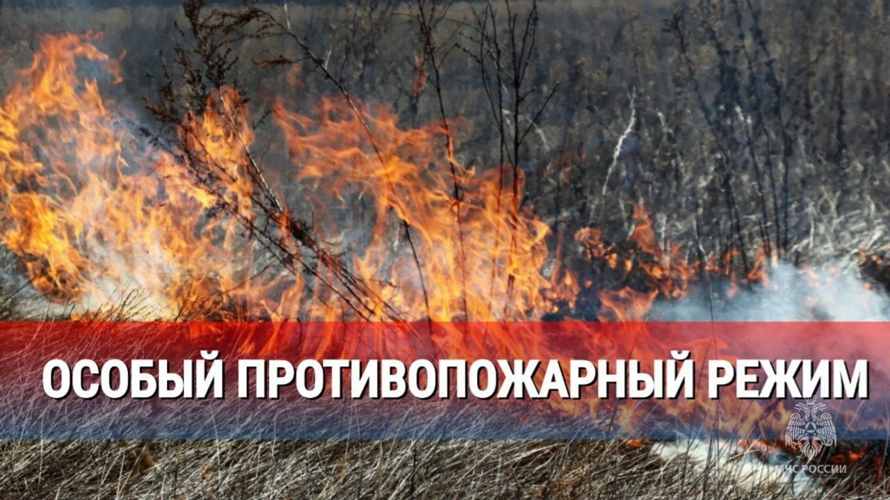 С 5 мая в большинстве районов нашего края, включая Красноярск, введен особый противопожарный режим.